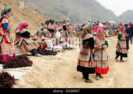 Habillés de couleurs vives les femmes Hmong fleurs au marché de Bac Ha, au Vietnam, en Asie du sud-est Banque D'Images