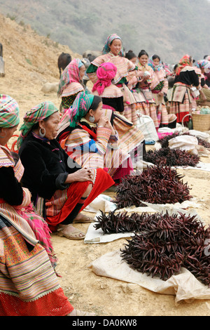 Habillés de couleurs vives les femmes Hmong fleurs au marché de Bac Ha, au Vietnam, en Asie du sud-est Banque D'Images
