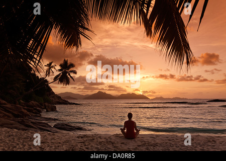 Anse Severe , Palmiers, Yoga, La Digue, Seychelles, océan Indien, Afrique Banque D'Images