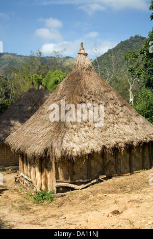 Une habitation de hautes terres et de chaume, Kemase herbe tissée, village du district de l'Apul, Eastern Highlands Province, la Papouasie-Nouvelle-Guinée. Banque D'Images