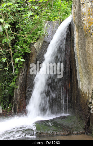 Cascade peu entre la végétation à Monte Gelato. Rome, Italie Banque D'Images