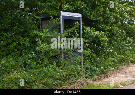 Téléphone BT rural envahi par la fort sur route dans la campagne Herefordshire Angleterre UK Banque D'Images