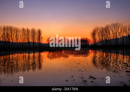 Champs inondés juste à côté du lac Kerkini, Serres, Macédoine, Grèce. Banque D'Images
