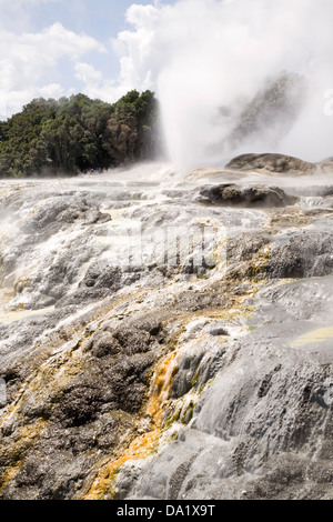 Pohutu Geyser éclate dans une manière cyclique une fois ou deux fois par heure, Rotorua, Nouvelle-Zélande. Banque D'Images