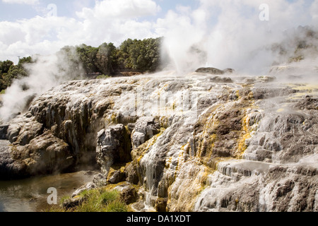 Pohutu Geyser éclate dans une manière cyclique une fois ou deux fois par heure, Rotorua, Nouvelle-Zélande. Banque D'Images