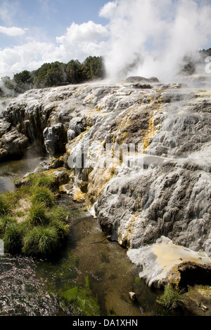 Pohutu Geyser éclate dans une manière cyclique une fois ou deux fois par heure, Rotorua, Nouvelle-Zélande. Banque D'Images