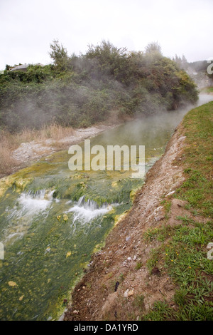 Kiri Te O Hinekai, est une eau chauffée géothermiquement ruisseau qui coule à travers les terrasses de Wairakei & Maori Village près de Taupo, Nouvelle-Zélande. Banque D'Images