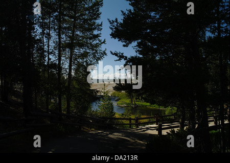 Ciel bleu foncé vue aval pins l'augmentation de l'ancien pont de la rivière Firehole fidèle à Geyser Hill, bassin supérieur, Yellowstone Banque D'Images
