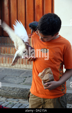 Jeune garçon pigeons d'alimentation hors de sa main dans la rue, San Juan, Puerto Rico, United States of America Banque D'Images