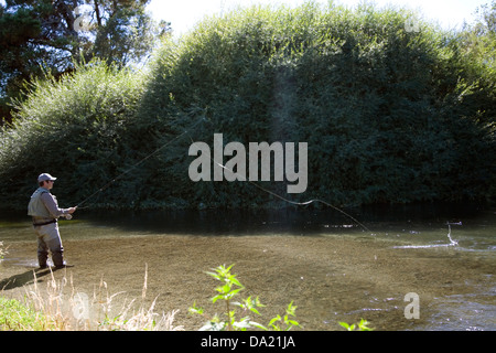 Démonstration de pêche à la mouche, Waitahanui River près de Taupo, Nouvelle-Zélande Banque D'Images