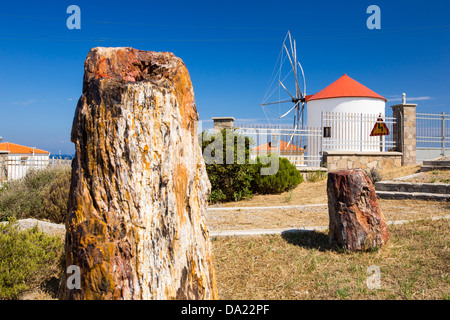 Ancien moulin transformé en maison à Sigri sur Lesbos, Grèce, avec un arbre fossilisé dans l'avant-plan. Banque D'Images