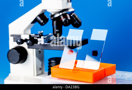 Lames en verre pour microscopes dans un laboratoire Banque D'Images