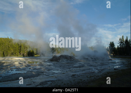 Ciel bleu, soleil du soir, à l'ombre des arbres verts vue colline, l'augmentation de vapeur, grotte de fusées, des geysers de Yellowstone Geyser Basin, supérieur Banque D'Images