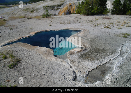 Le Sunny View, vers le ruisseau Firehole, Blue Star Printemps et de sortie d'eau, groupe Old Faithful Geyser Basin, supérieur, Yellowstone, États-Unis Banque D'Images