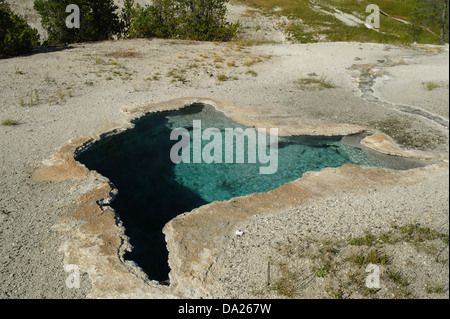 Le Sunny View, vers le ruisseau Firehole, Blue Star Printemps, Old Faithful Geyser Basin supérieur, Groupe, Yellowstone, États-Unis Banque D'Images