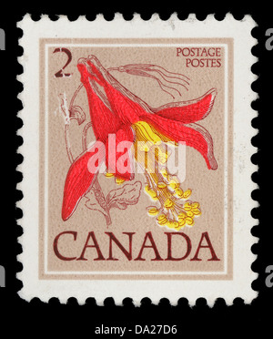 CANADA - circa 1977 : timbre imprimé au Canada montre : Fleur ancolie rouge, de la série 'fleurs' , vers 1977 Banque D'Images
