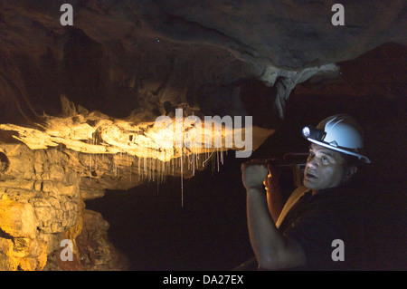 dh Waitomos grotte de ver WAITOMO GROTTES NOUVELLE-ZÉLANDE NZ Guide montrant les fils de ver luisants vers arachnocampa luminosa Banque D'Images