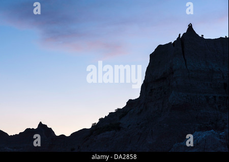 L'urubu se percher sur une crête dans Badlands National Park (Dakota du Sud). Banque D'Images