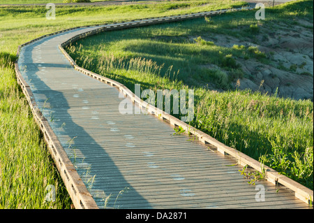 Des traces de pas dans la rosée mènent à un belvédère dans Badlands National Park (Dakota du Sud). Banque D'Images