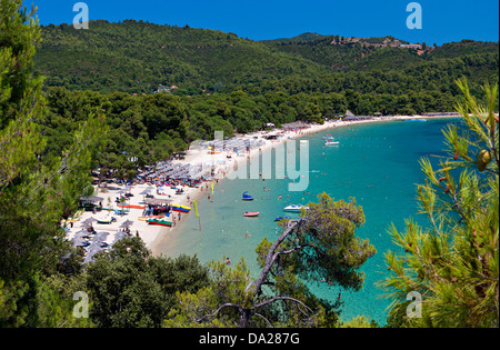 La Plage de Koukounaries à l'île de Skiathos en Grèce Banque D'Images