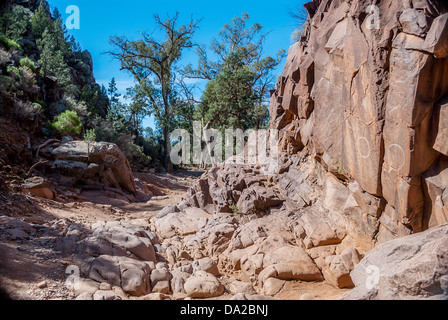 Sacré Canyon dans la magnifique chaîne des Flinders Ranges dans l'Outback australien. Un lieu de rencontre aborigène traditionnel contenant des sculptures en pierre a Banque D'Images