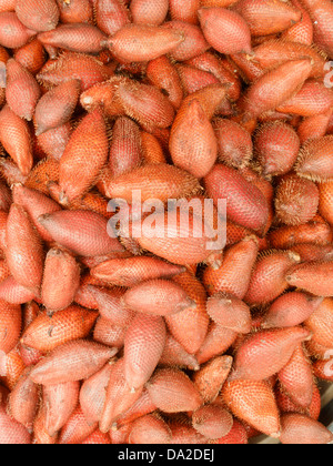 Salak, tropical fruit sucré en thaï marché local. Le nom scientifique : Salacca zalacca est une espèce de palmier. Banque D'Images