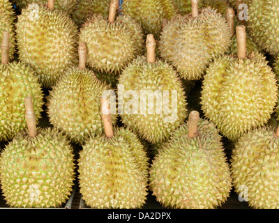 Durian roi des fruits thaïlandais en Thaïlande sur le marché. Banque D'Images