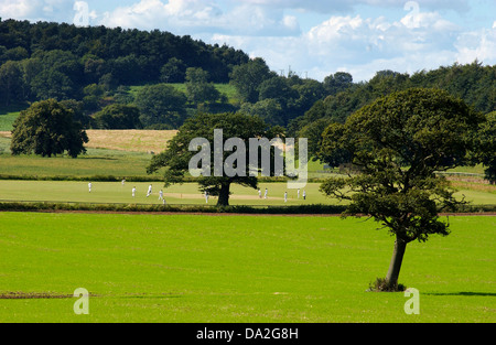 Harcourt county cricket ground, Stanton sur Hine Heath, Shropshire, Angleterre Banque D'Images