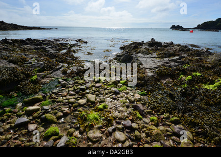 À Jersey Cove Archirondel dans les îles de la Manche. Banque D'Images