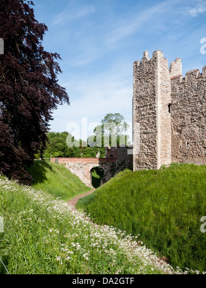 Château de Domfront, Suffolk, UK château normand Banque D'Images