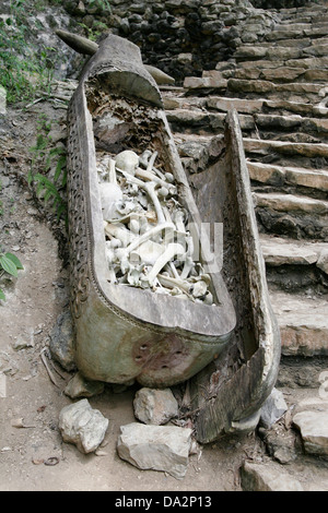 Cercueil en bois sculpté ancien plein de crânes et d'os au cimetière de Torajan village Kete Kesu, Tana Toraja, Sulawesi, Indonésie Banque D'Images