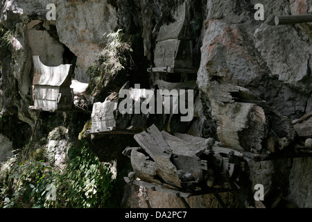 Cercueils suspendus plein de crânes et d'os au cimetière de Torajan village Kete Kesu, Tana Toraja, Sulawesi, Indonésie Banque D'Images