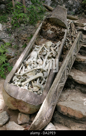 Cercueil en bois sculpté ancien plein de crânes et d'os au cimetière de Torajan village Kete Kesu, Tana Toraja, Sulawesi, Indonésie Banque D'Images