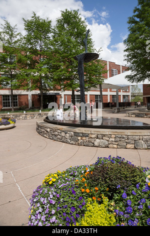 Falls Park on the Reedy, Greenville, SC, USA Banque D'Images