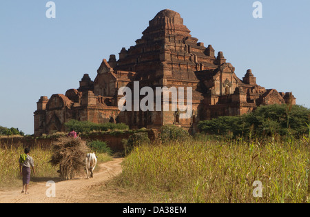 Temple bouddhiste de Dhammayangyi construit en 1164 Bagan Myanmar Banque D'Images