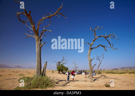 Petit-déjeuner dans le désert du Namib à la fin de vol en ballon à air chaud, à proximité de Sesriem, Namibie, Afrique Banque D'Images