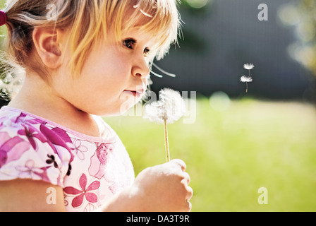 Little girl blowing dandelion seeds - deux ans Banque D'Images