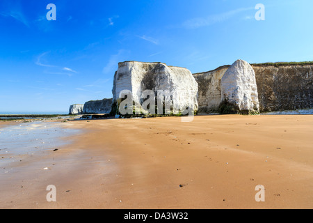 Falaises de craie à Botany Bay Beach à Broadstairs sur la côte du Kent England UK Banque D'Images