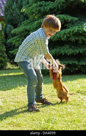 Jeune garçon jouant avec son chien Banque D'Images