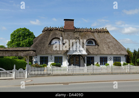 Maison de chaume, Suederbrarup, Schlei, Schleswig-Holstein, Allemagne Banque D'Images