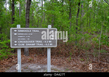 Tallahassee Floride, Apalachicola National Forest, Leon puits zone géologique, signe, logo, sentier de gouffre, les visiteurs Voyage tourisme touristique la Banque D'Images