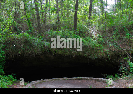 Tallahassee Floride, Apalachicola National Forest, Leon Sinks, gouffre, Big Dismal Sink, Woodville Karst Plain, les visiteurs voyage visite touristique Banque D'Images