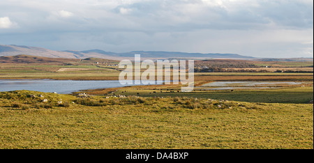 Île d'Islay à la recherche est au-dessus de l'extrémité sud du Loch Gruinart et la réserve RSPB Scotland UK Octobre 5347 Banque D'Images