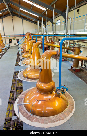 À col de cygne alambics en cuivre à l'intérieur dans la distillerie de whisky Glenfiddich Dufftown Speyside Ecosse UK GB EU Europe Banque D'Images