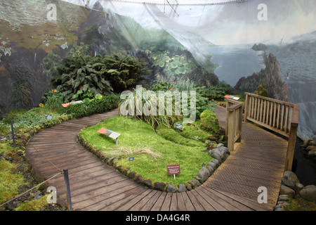 L'intérieur de la maison de l'usine de l'Antarctique sous dans le Royal Tasmanian Botanical Gardens Banque D'Images