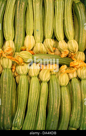 Le bac de courgettes avec des fleurs affiché dans un greengrocery Banque D'Images