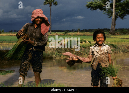 Cambodge : une fille et sa mère travaillant dans la rizière le repiquage du riz, la province de Prey Veng. Banque D'Images