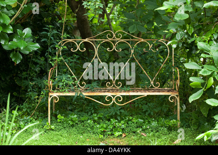 Un vieux banc en métal blanc rouillé parmi feuillage vert dense dans un coin de jardin. Banque D'Images