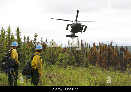 Les pompiers d'l'US Forest Service interagences Lassen équipage Hotshot attendent d'être ramassés par la Garde nationale de l'Alaska un UH-60 Black Hawk après contenant un incendie le 30 juin 2013 à Palmer, de l'Alaska. Banque D'Images