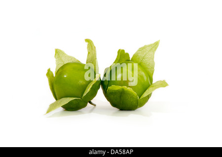 Close-up of Green tomatillo, Physalis philadelphica fruits, sur fond blanc. Banque D'Images